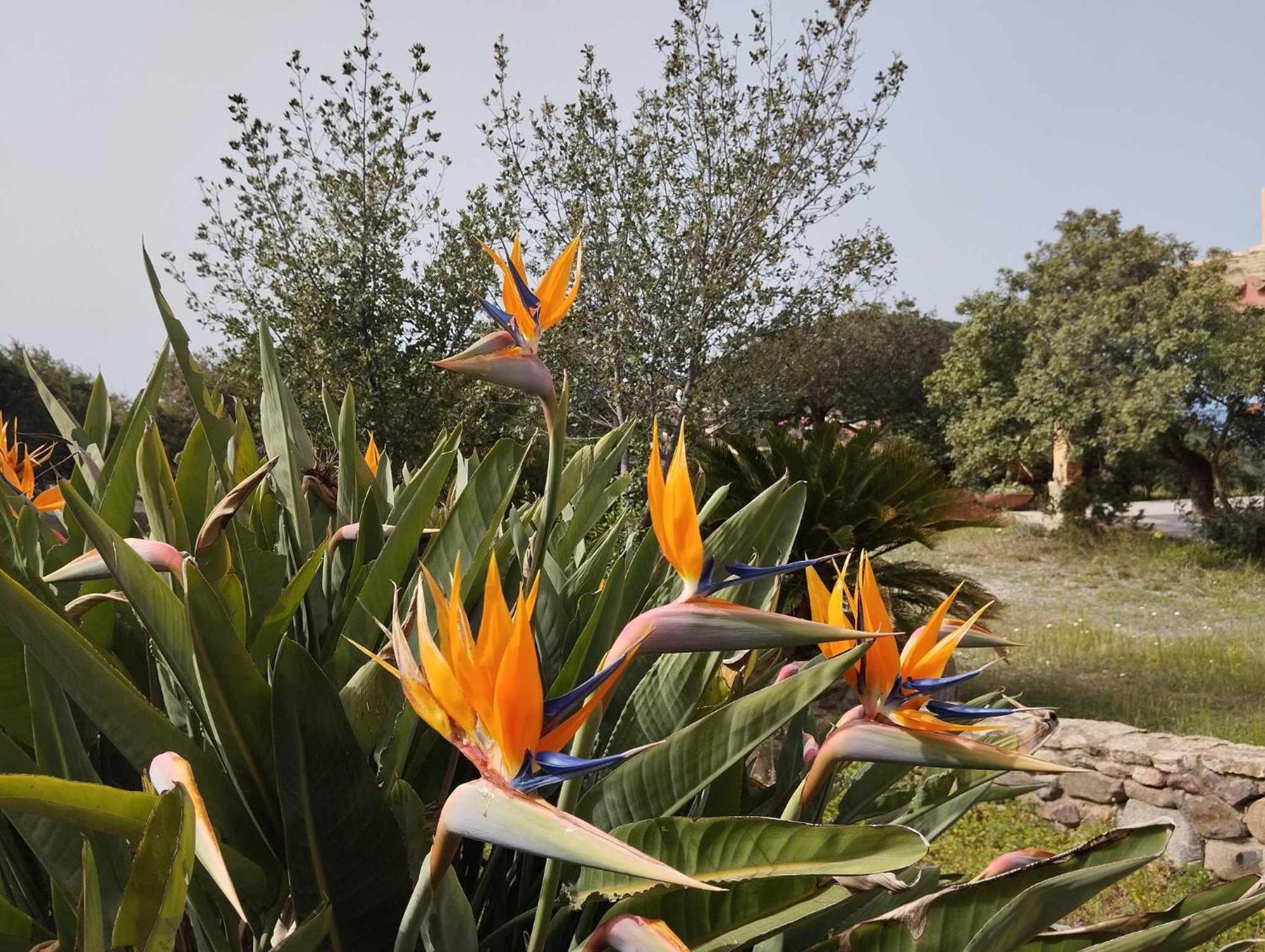 Holiday Home Riccio Di Mare Sardinia Marongiu Buitenkant foto