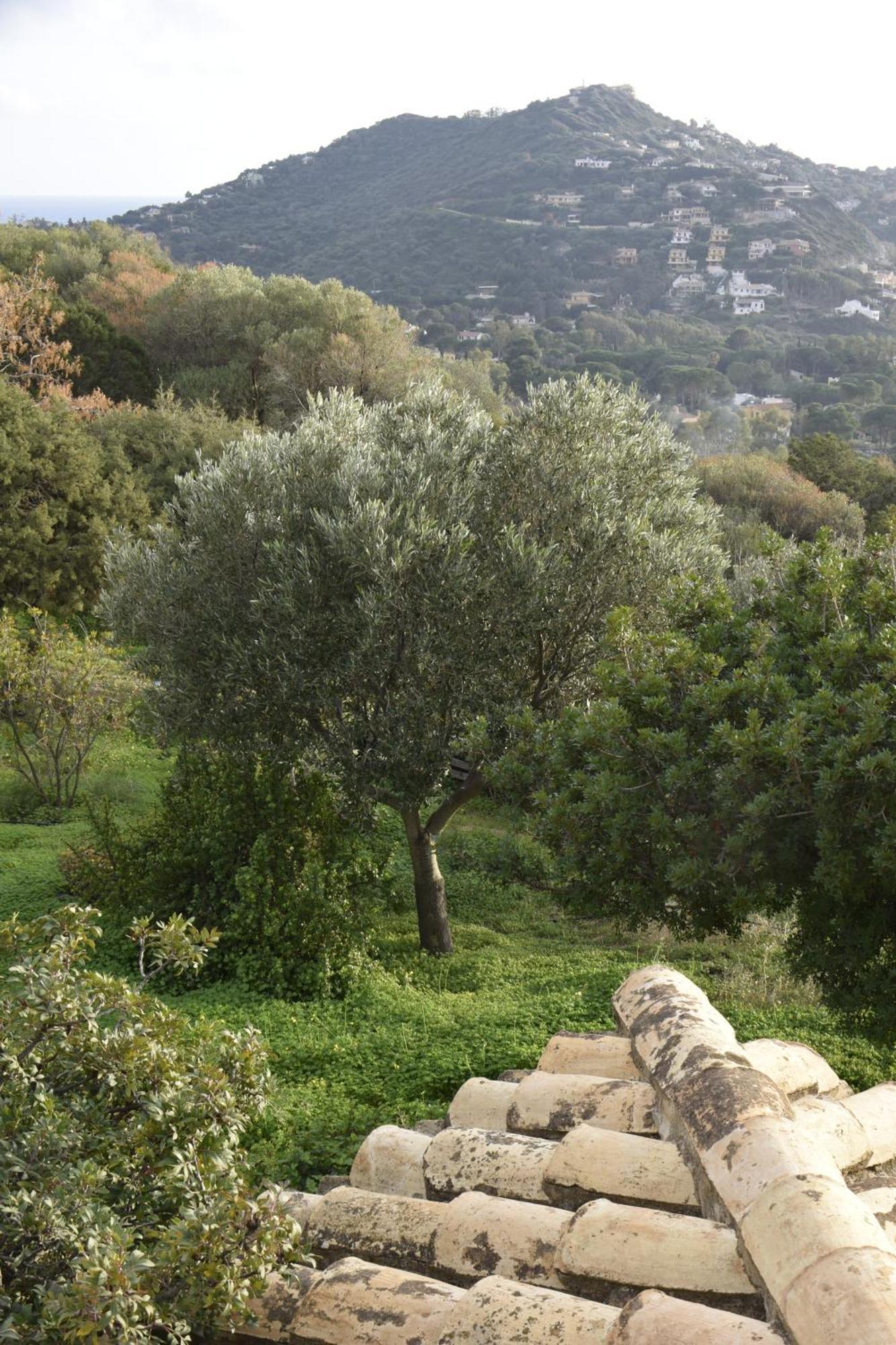 Holiday Home Riccio Di Mare Sardinia Marongiu Buitenkant foto